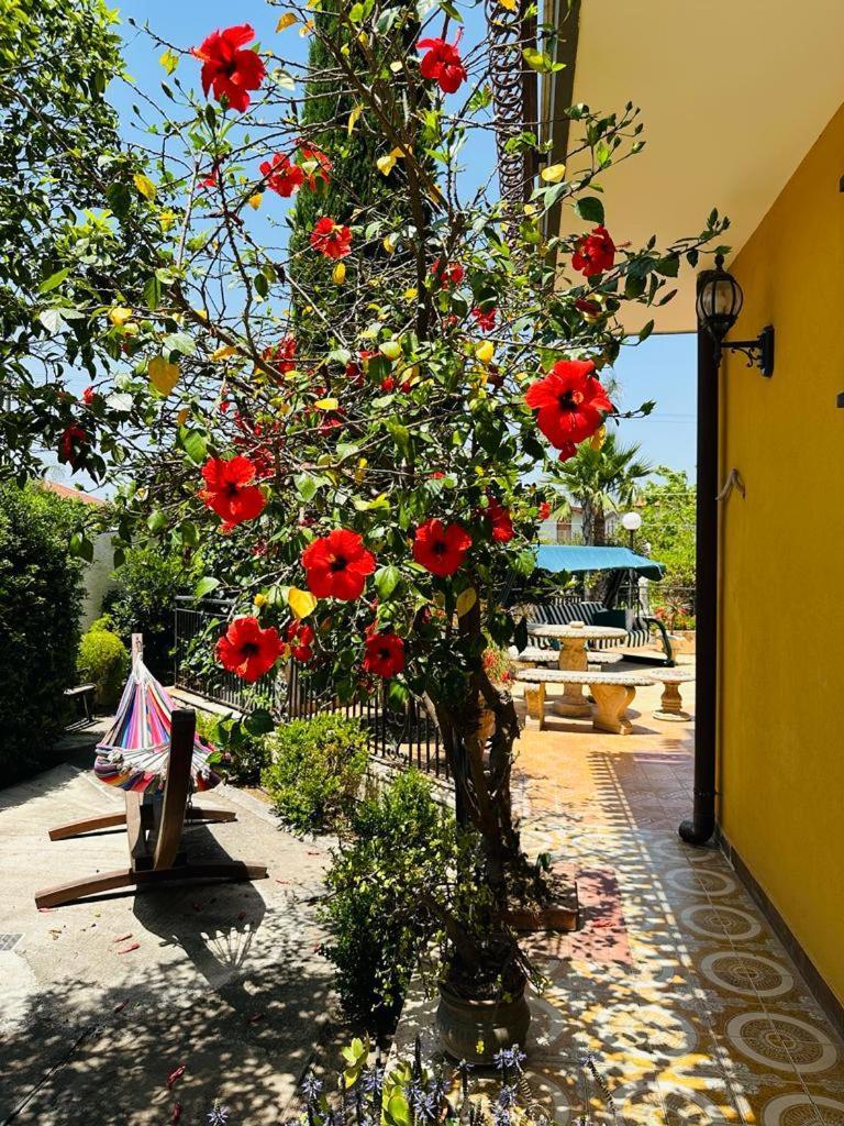 Villa Sicels - Agnone Beach - Syracuse Agnone Bagni Zewnętrze zdjęcie